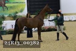 24R13_00382 thumbnail