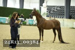 24R13_00384 thumbnail