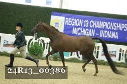24R13_00386 thumbnail