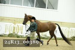 24R13_00389 thumbnail