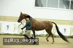 24R13_00390 thumbnail