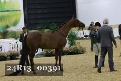 24R13_00391 thumbnail