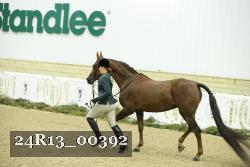 24R13_00392 thumbnail