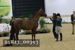 24R13_00393 thumbnail