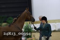 24R13_00394 thumbnail