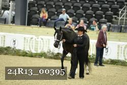 24R13_00395 thumbnail
