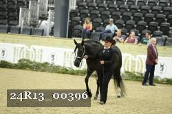 24R13_00396 thumbnail