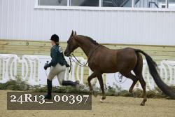 24R13_00397 thumbnail