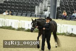 24R13_00398 thumbnail