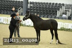 24R13_00400 thumbnail