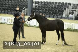 24R13_00401 thumbnail