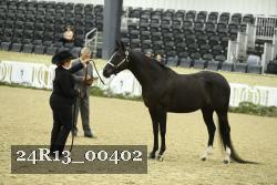 24R13_00402 thumbnail