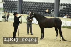 24R13_00404 thumbnail