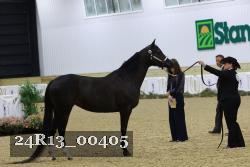 24R13_00405 thumbnail