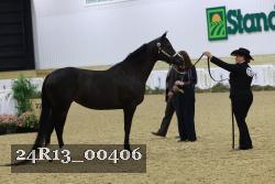 24R13_00406 thumbnail