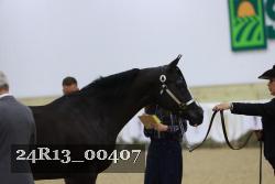 24R13_00407 thumbnail