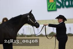 24R13_00408 thumbnail