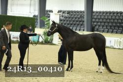 24R13_00410 thumbnail