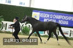 24R13_00412 thumbnail