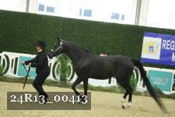 24R13_00413 thumbnail