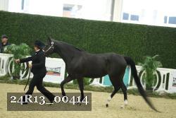 24R13_00414 thumbnail