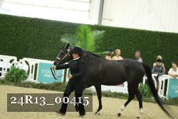 24R13_00415 thumbnail