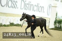 24R13_00416 thumbnail