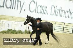 24R13_00417 thumbnail