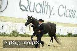 24R13_00418 thumbnail