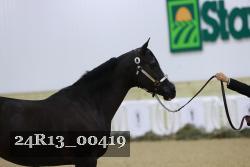 24R13_00419 thumbnail
