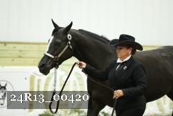 24R13_00420 thumbnail