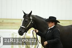 24R13_00421 thumbnail