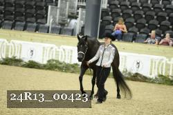 24R13_00423 thumbnail