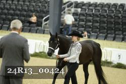 24R13_00424 thumbnail