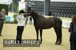 24R13_00425 thumbnail