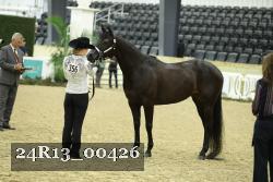 24R13_00426 thumbnail