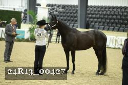 24R13_00427 thumbnail