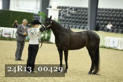 24R13_00429 thumbnail