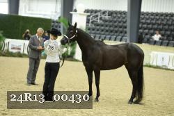24R13_00430 thumbnail