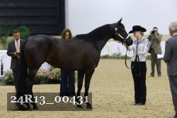 24R13_00431 thumbnail