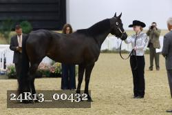 24R13_00432 thumbnail