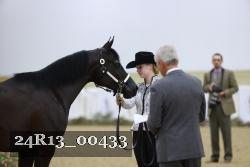 24R13_00433 thumbnail
