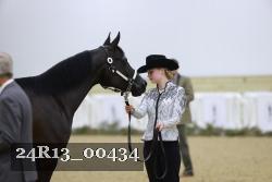 24R13_00434 thumbnail