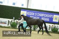 24R13_00435 thumbnail