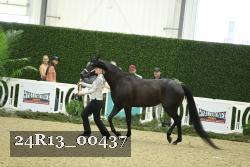24R13_00437 thumbnail