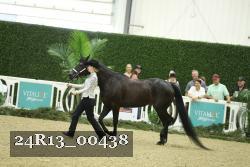 24R13_00438 thumbnail