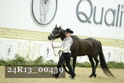 24R13_00439 thumbnail