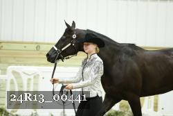 24R13_00441 thumbnail