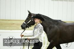 24R13_00442 thumbnail