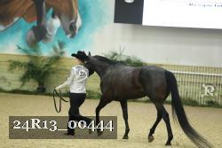 24R13_00444 thumbnail